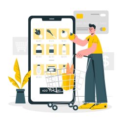 Who should use online grocery delivery software?