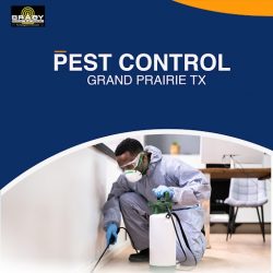 Pest Control in Grand Prairie TX
