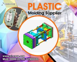 Leading Plastic Molding Supplier in China