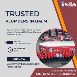 Find The Trusted Plumbers In Balm, Flordia