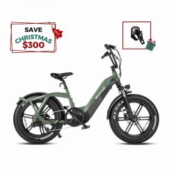Velowave e-bike | PONY STEP THRU – Christmas Sale
