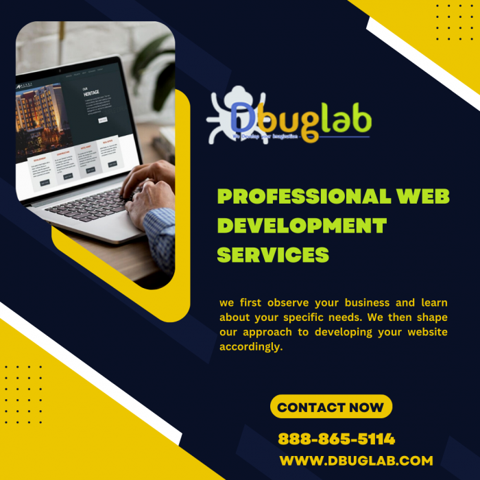 Professional Web Development Services