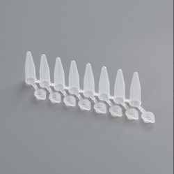 0.2ml PCR Octet Tubes – With Caps