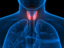 Thyroid In Women