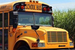 School & College Charter Buses