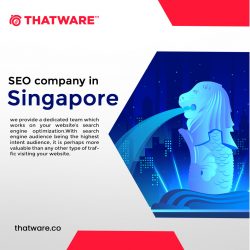 Best SEO Company in Singapore – Thatware LLP