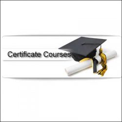Share Market Certificate Course
