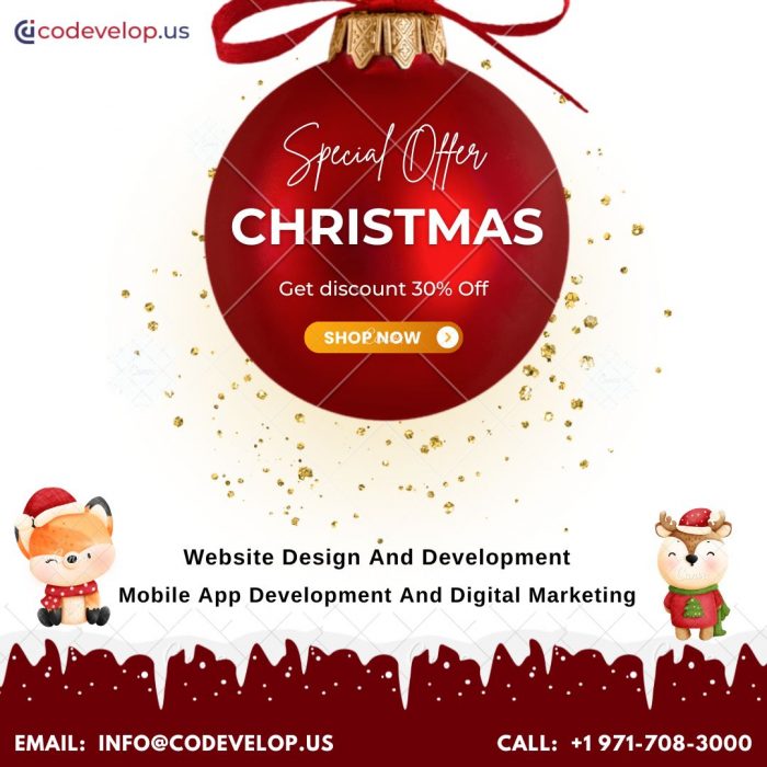 Amazing Christmas & New Year Offer On Web Design Services