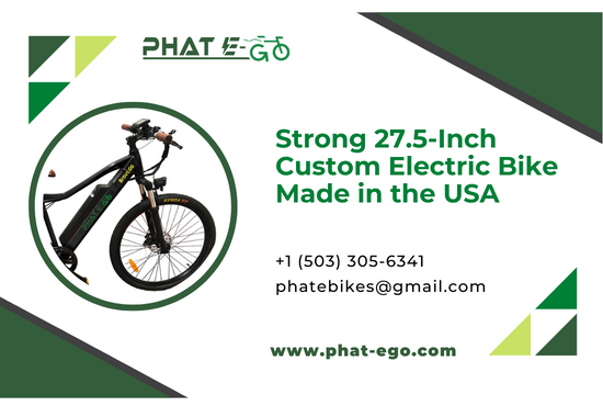 Strong 27.5-Inch Custom Electric Bike Made in the USA