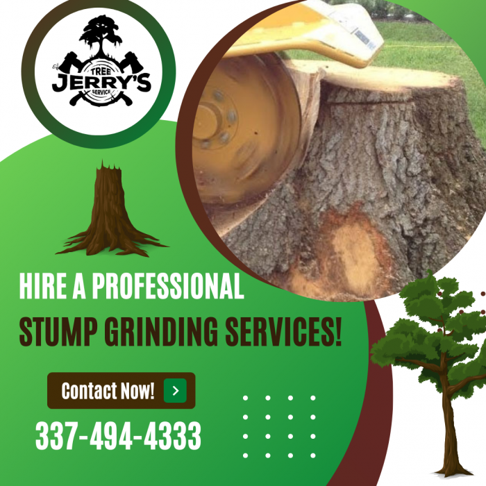 Get Licensed Stump Grinding Services