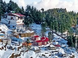 Kanatal Travel Guide – Things You Need To Know About This Beautiful Hill Station