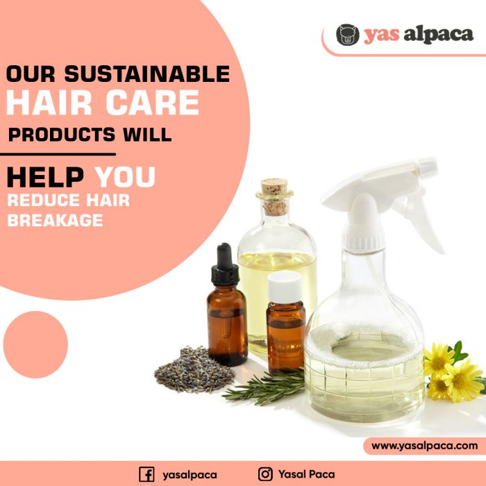 Sustainable Hair Products
