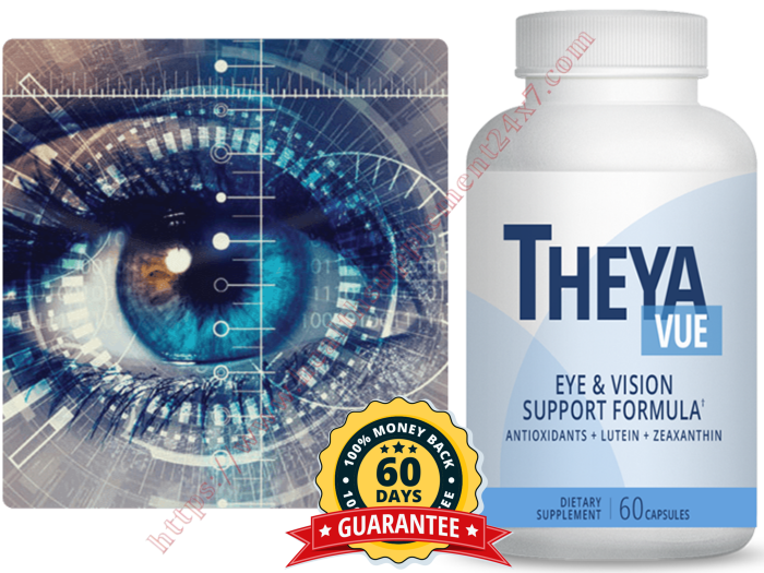 TheyaVue (Christmas Sale 2022) PowerFull New Vision Support Formula!