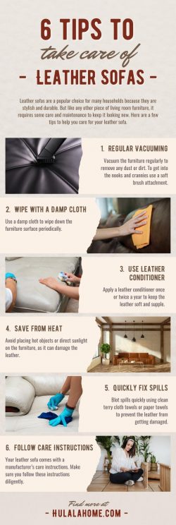 6 Tips to Take Care of Leather Sofas