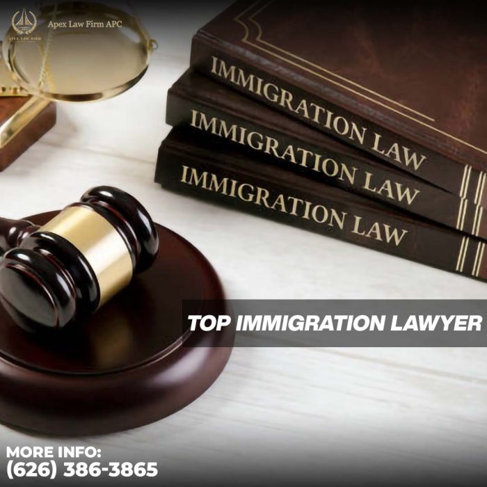 Top Immigration Lawyer in US