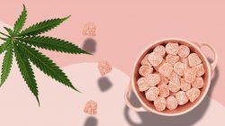 High Peak CBD Gummies Reviews: A Safe and Natural Way to Pain Relief?
