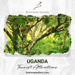 Witness the Amazing Uganda tourist attractions