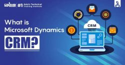 What is Microsoft Dynamics CRM?