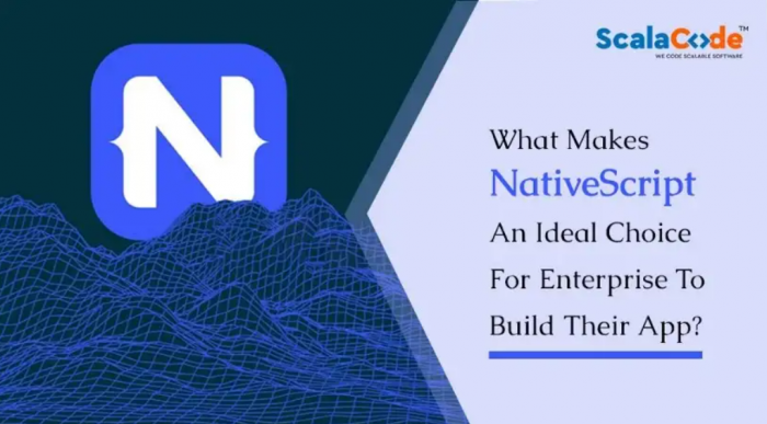 What Makes NativeScript An Ideal Choice For Enterprises To Build Their App?
