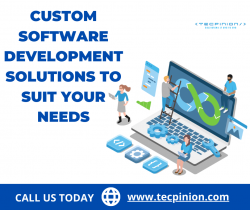 Design and develop custom software solutions