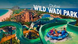 Wild Wadi Water Park Offers