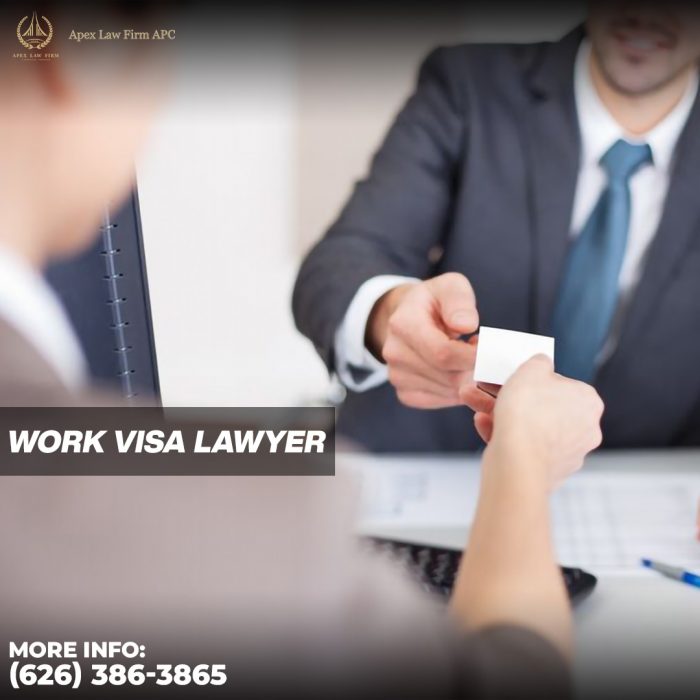 Best Work Visa Lawyer
