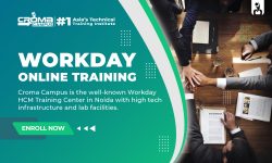 Workday Certification Cost In India
