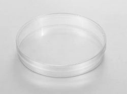 Science Round Polypropylene Sterile Petri Dish Plastic