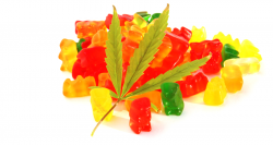 What is the Dolly Parton CBD Gummies?