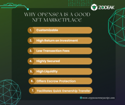 Why Opensea Is a Good NFT Marketplace