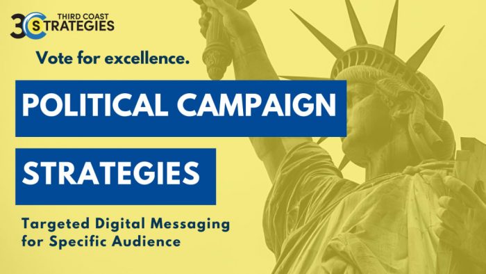 Political Campaign Strategies: Targeted Digital Messaging for Specific Audience