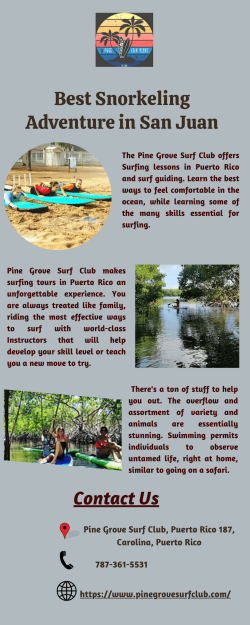Adventures in Paddleboarding at Piñones Natural Reserve |Pine Grove Surf Club