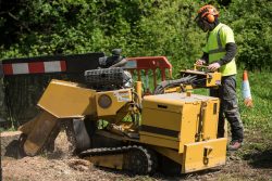 Stump Grinding Services in Buffalo