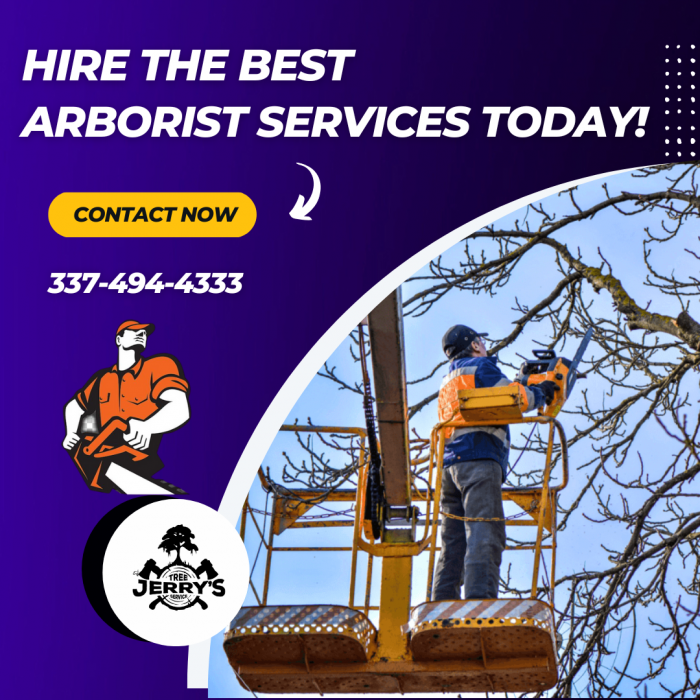 Find the Best Tree Service Professional in Lake Charles