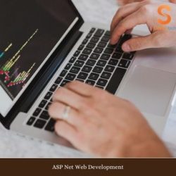 ASP Net Web Development | SaffronTech