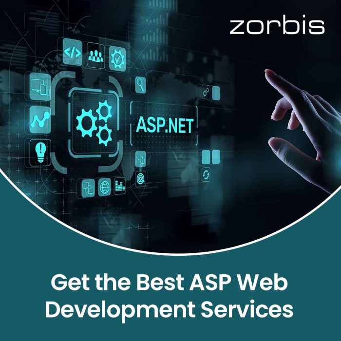 ASP Web Development Services