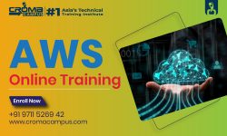 Join AWS Online Course in Oman
