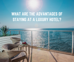 Benefits and Features of Luxury Hotels