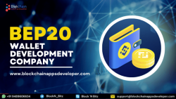 BEP20 Binance Smart Chain Wallet Development