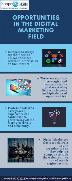 Best Digital Marketing Training in Delhi | ShapeMySkills
