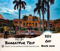 Best Places to Visit – Bharatpur Tour