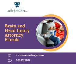 Brain and Head Injury Attorney Florida | Scott The Lawyer
