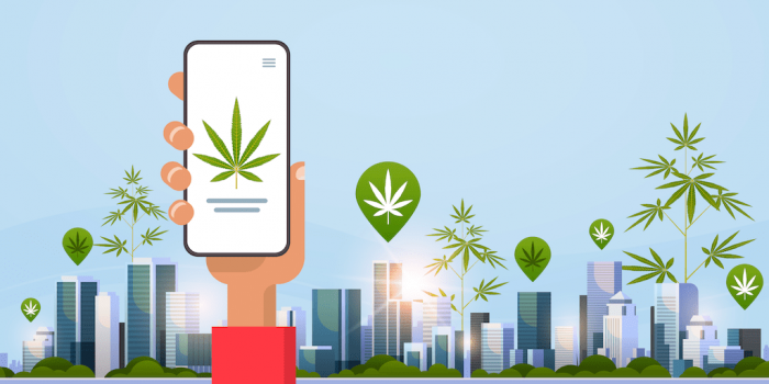 Cannabis App Development Company in USA
