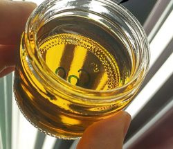 Cannabis Concentrates Prices | Cannaweed Plug