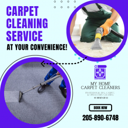 Trusted Source for All Your Carpet Cleaning Needs!