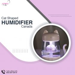 Cat Shaped Humidifier in Canada