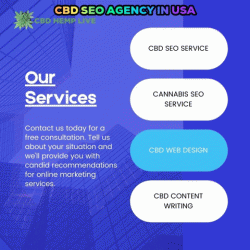 CBD SEO Agency