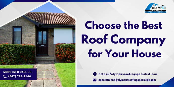 Choose the Best Roof Company for Your House