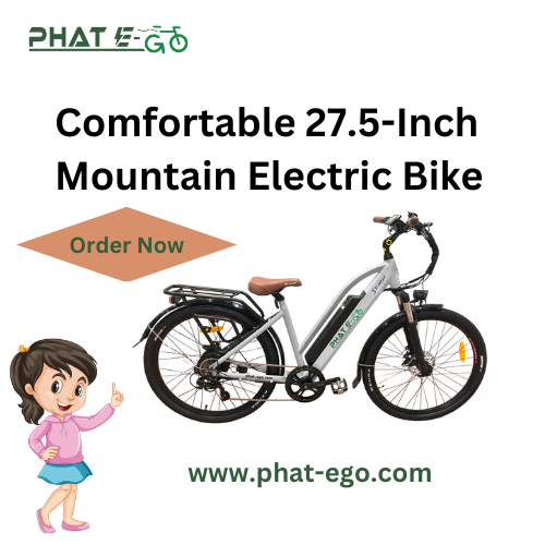 Comfortable 27.5-Inch Mountain Electric Bike | Phat-eGo