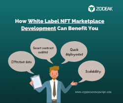 How White Label NFT Marketplace Development Can Benefit You